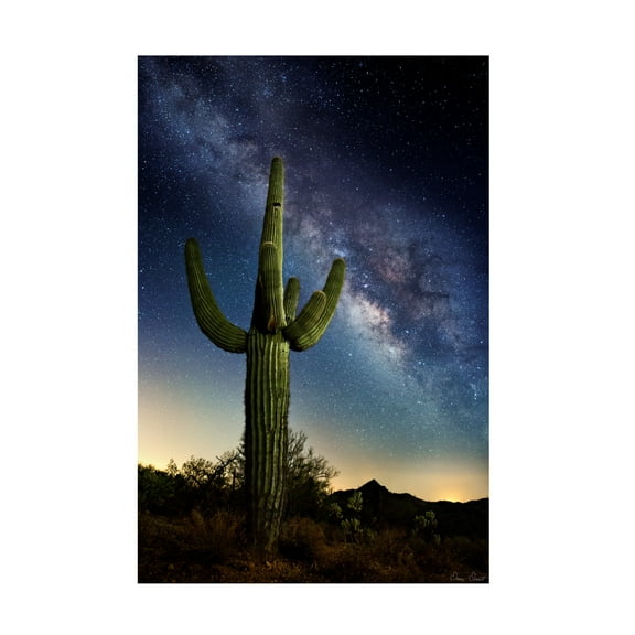 Trademark Fine Art David Drost  Desert Lights I Canvas Wall Art