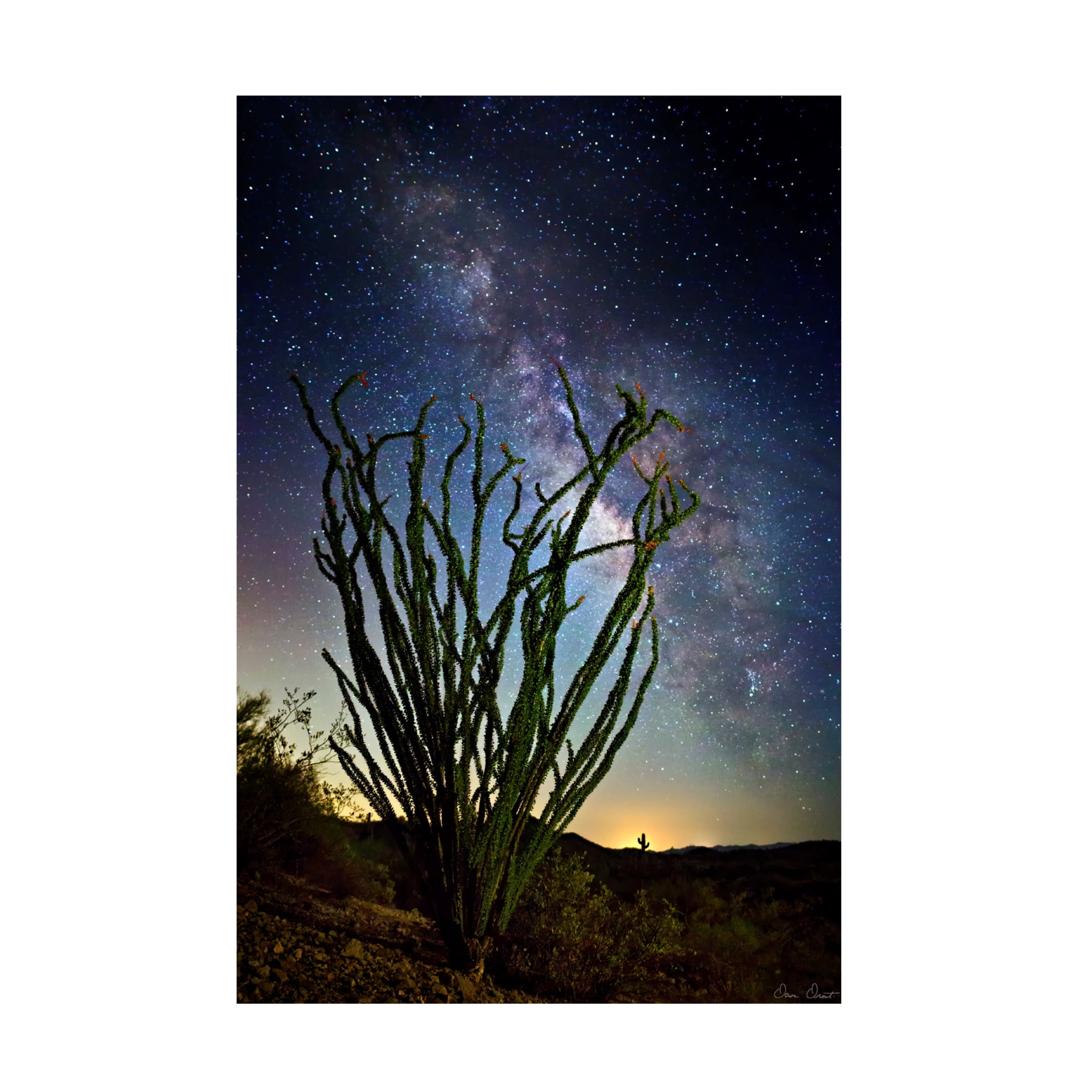 Trademark Fine Art David Drost  Desert Lights II Canvas Wall Art