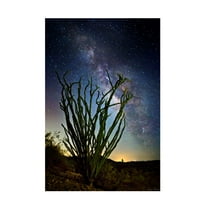 Trademark Fine Art David Drost Desert Lights II Canvas Wall Art