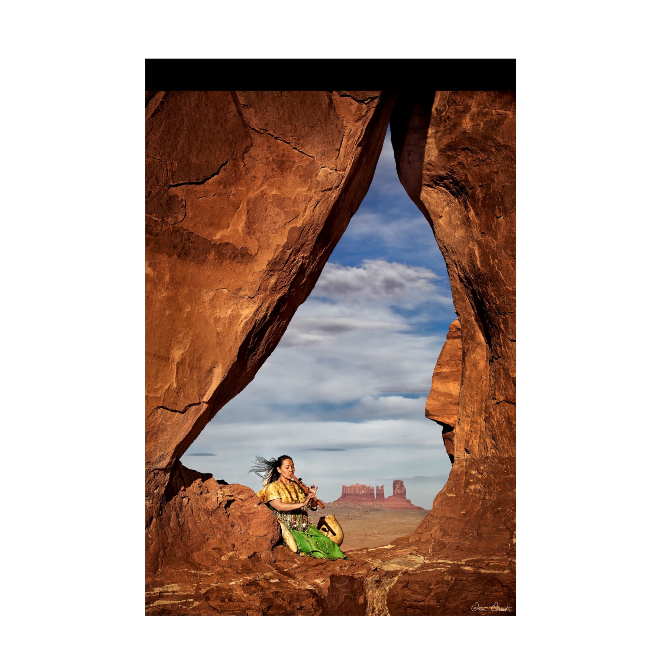 Trademark Fine Art David Drost Nature's Melody I Canvas Wall Art