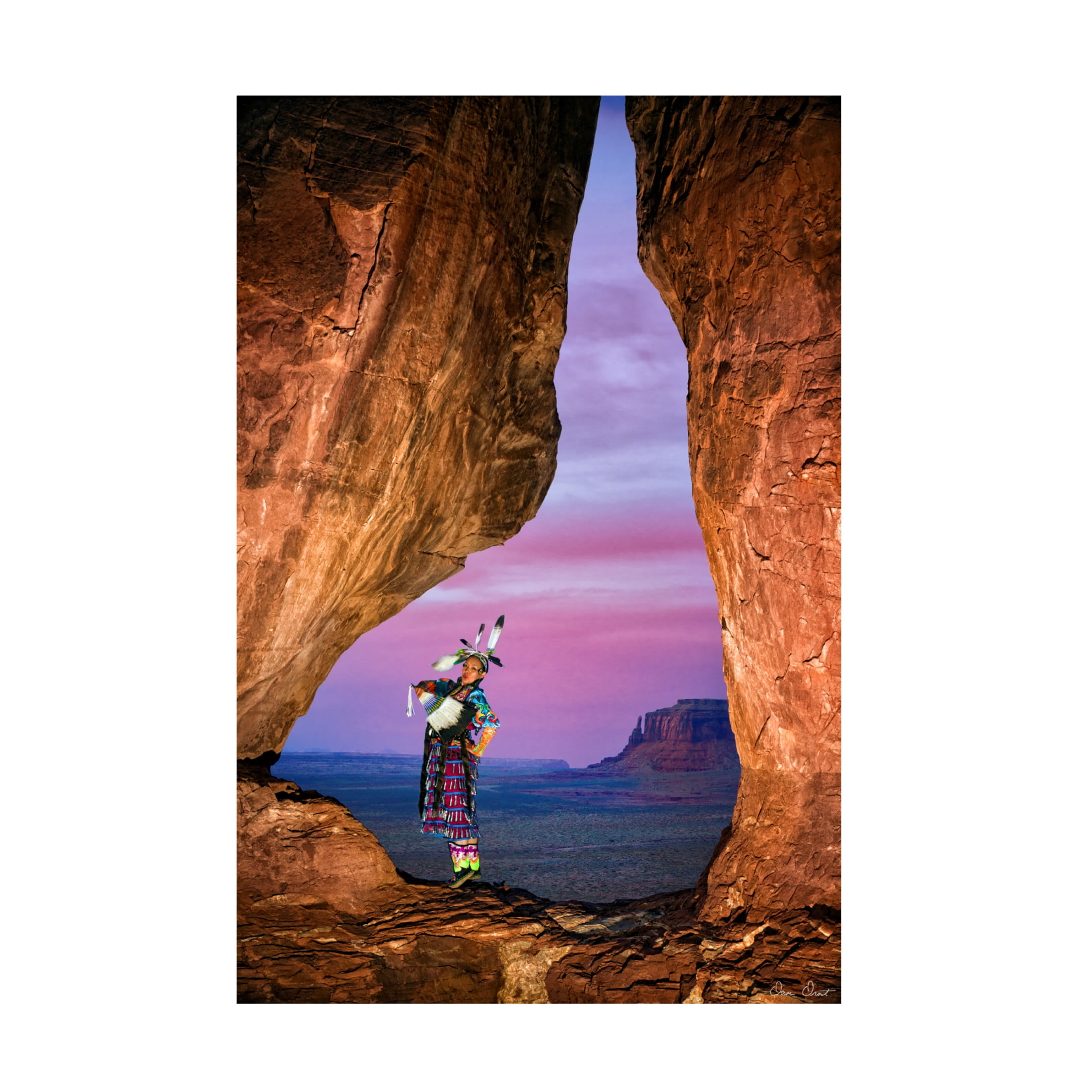 Trademark Fine Art David Drost  Nature's Melody II Canvas Wall Art