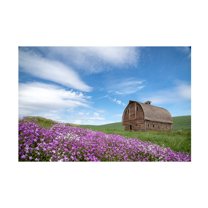 Trademark Fine Art David Drost Palouse Barn and Flowers II Canvas Wall Art