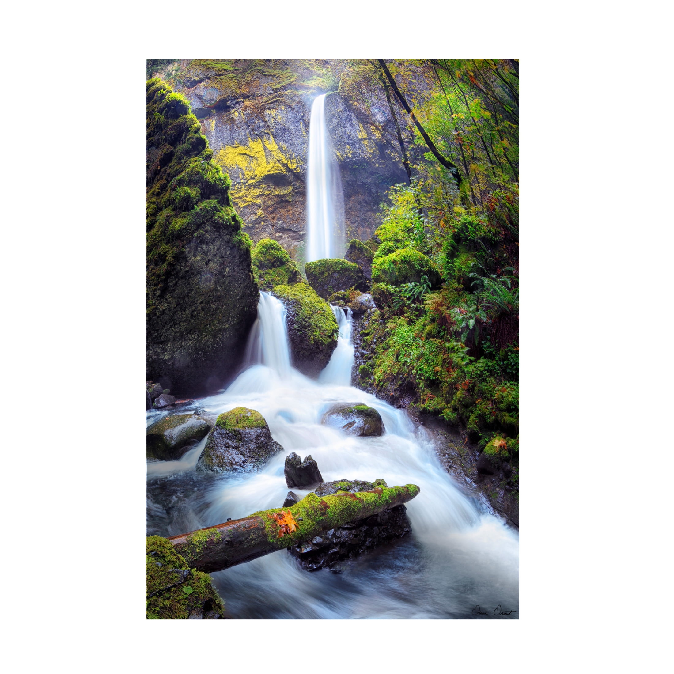 Trademark Fine Art David Drost Rapid Waterfall I Canvas Wall Art