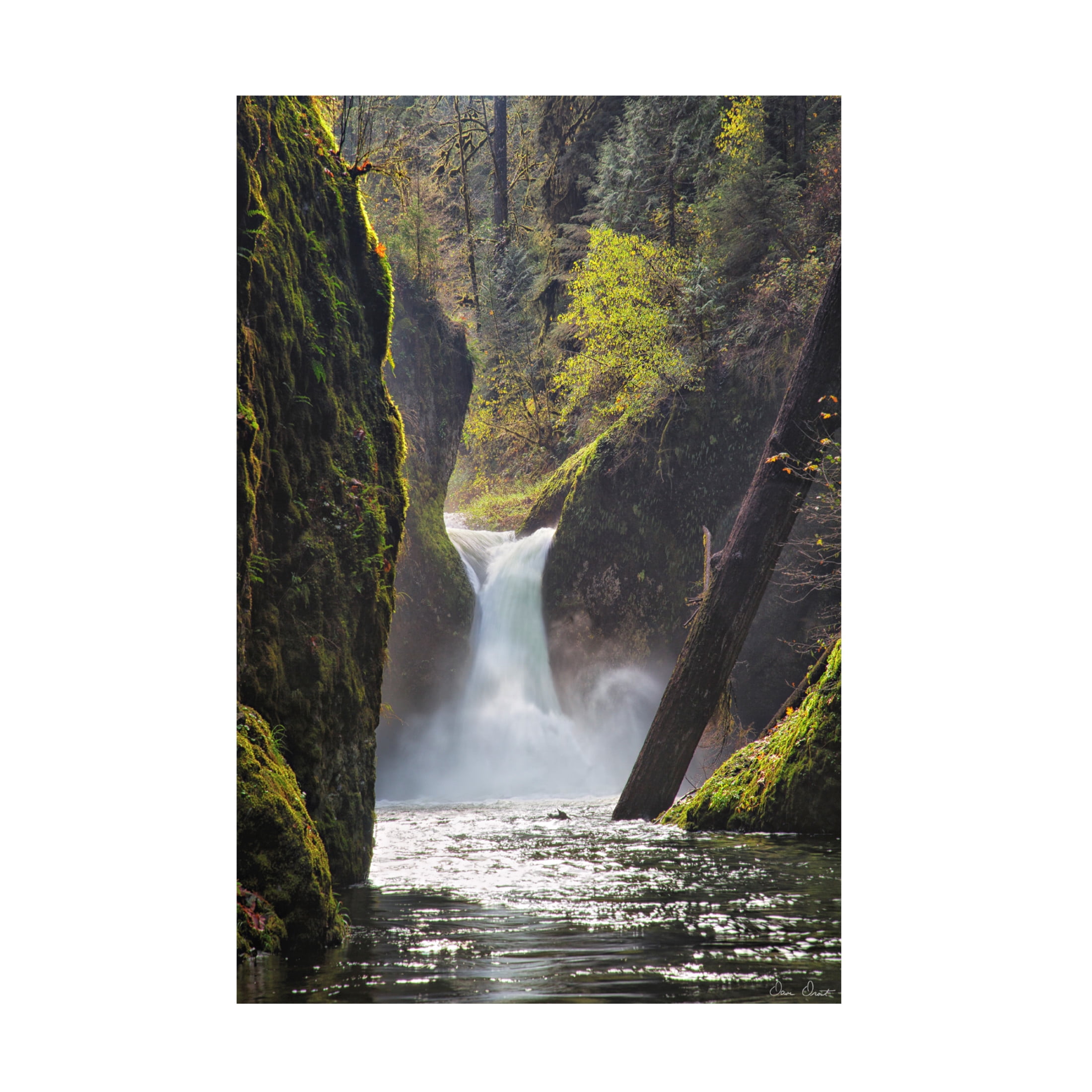 Trademark Fine Art David Drost  Rapid Waterfall II Canvas Wall Art