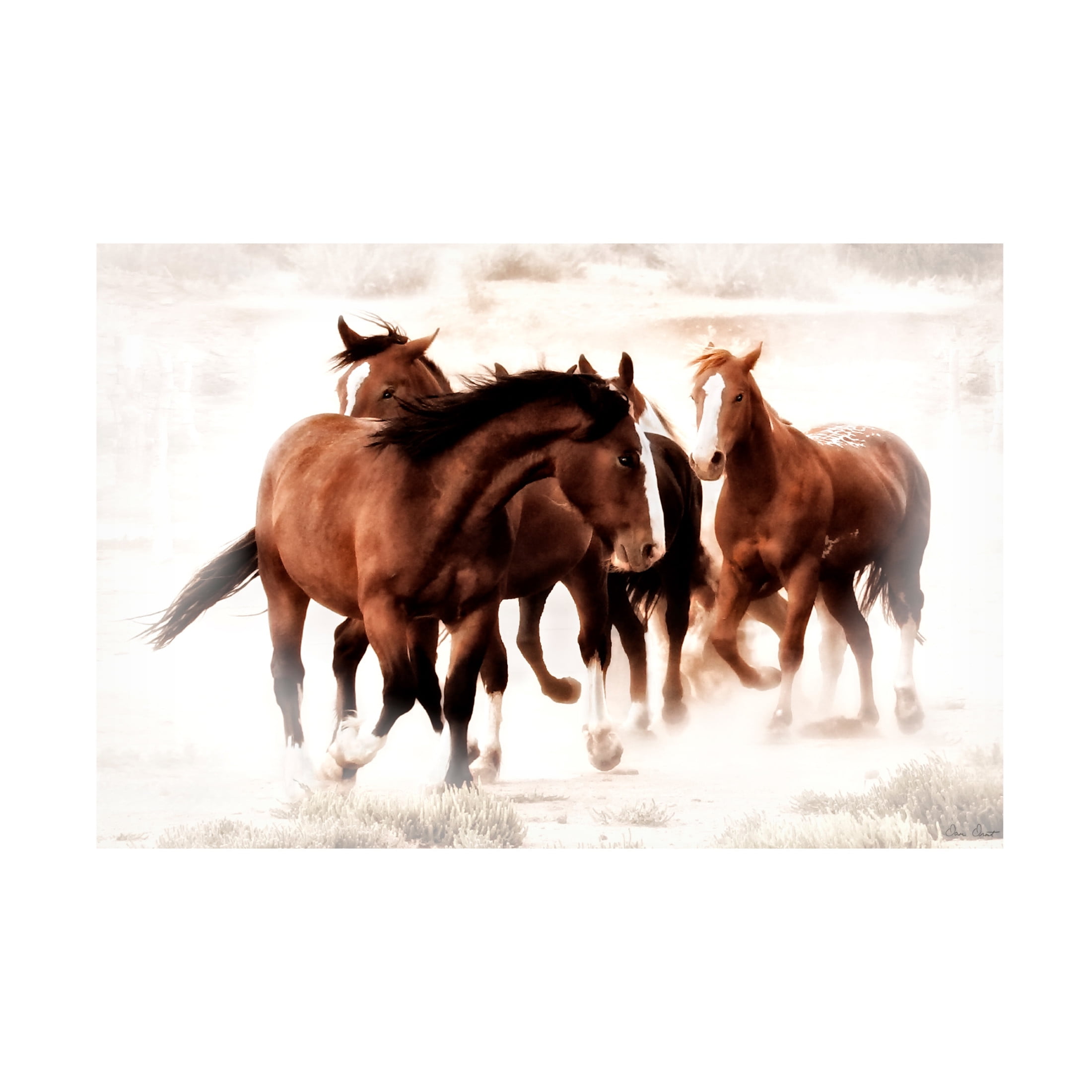 Trademark Fine Art David Drost  The Finish Line Canvas Wall Art