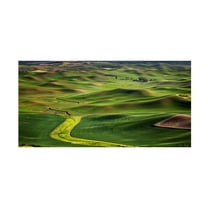Trademark Fine Art David Drost  The Palouse Countryside  I Canvas Wall Art