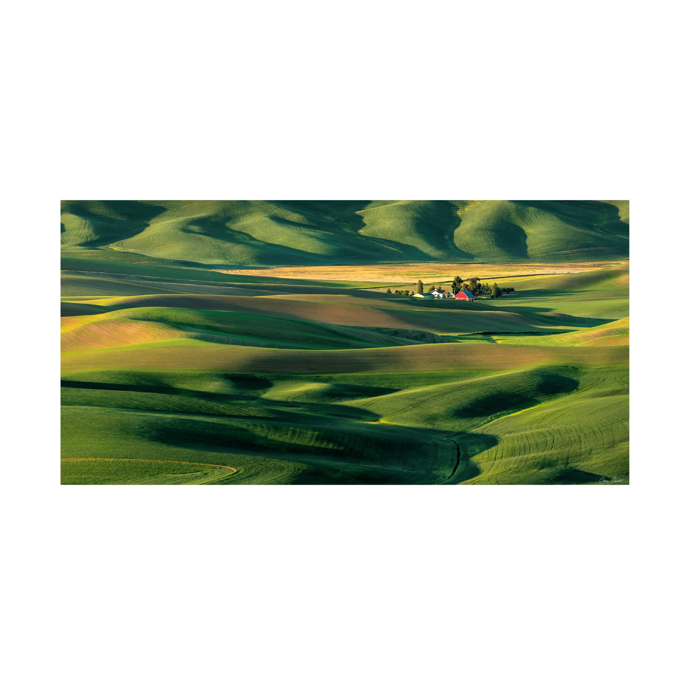 Trademark Fine Art David Drost  The Palouse Countryside  II Canvas Wall Art