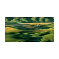 Trademark Fine Art David Drost The Palouse Countryside II Canvas Wall Art