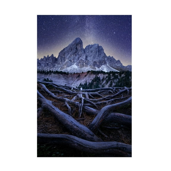 Trademark Fine Art David Ilkovic Wurzjoch Canvas Wall Art