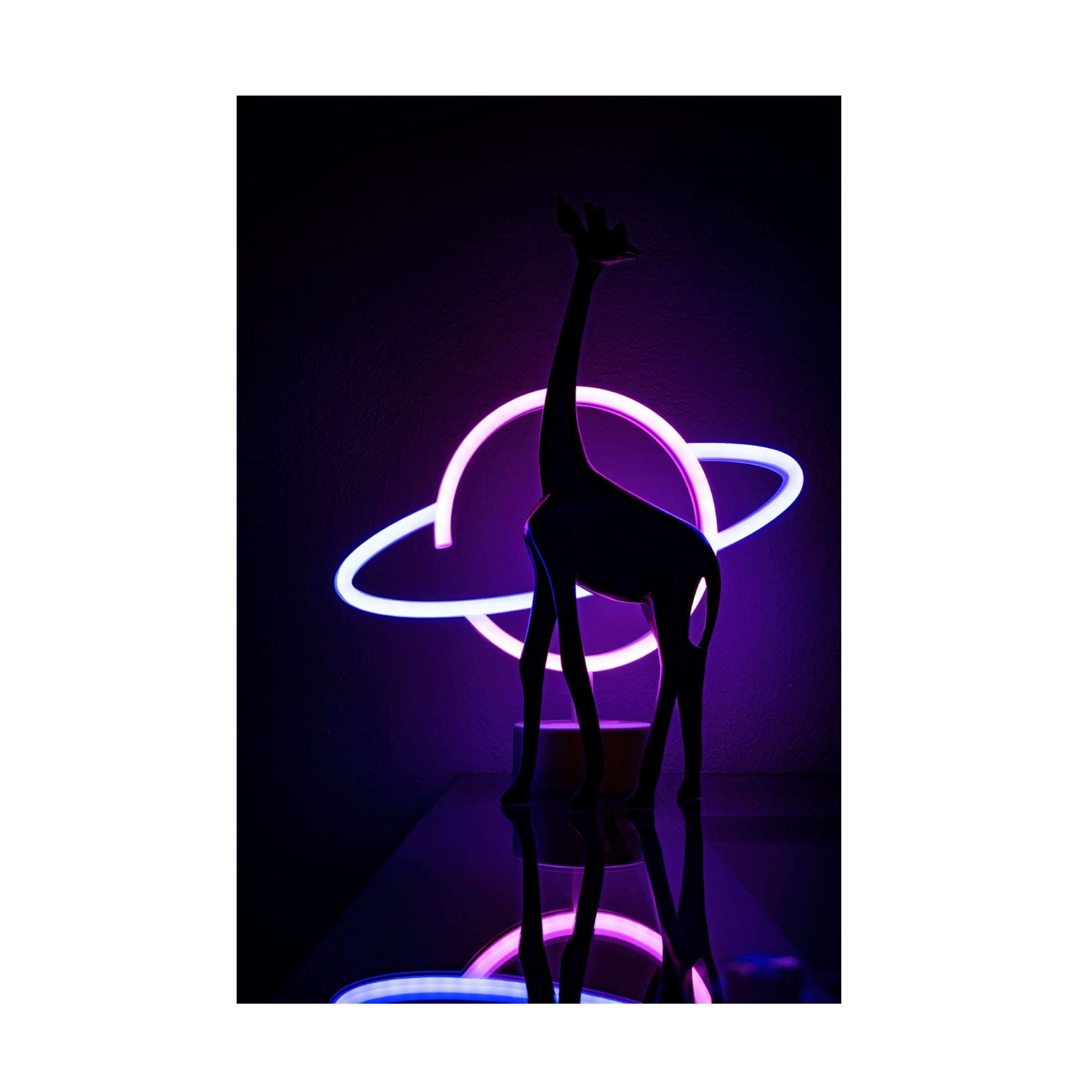 Trademark Fine Art Davide Boaretto Lady Miami Canvas Wall Art