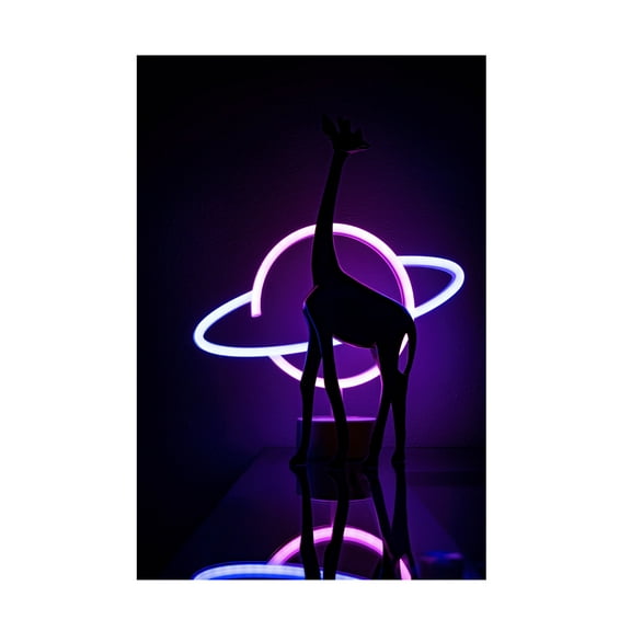 Trademark Fine Art Davide Boaretto Lady Miami Canvas Wall Art