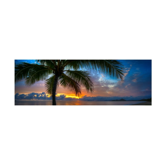 Trademark Fine Art 'Dawn Of A New Day' Canvas Art by Doug Cavanah