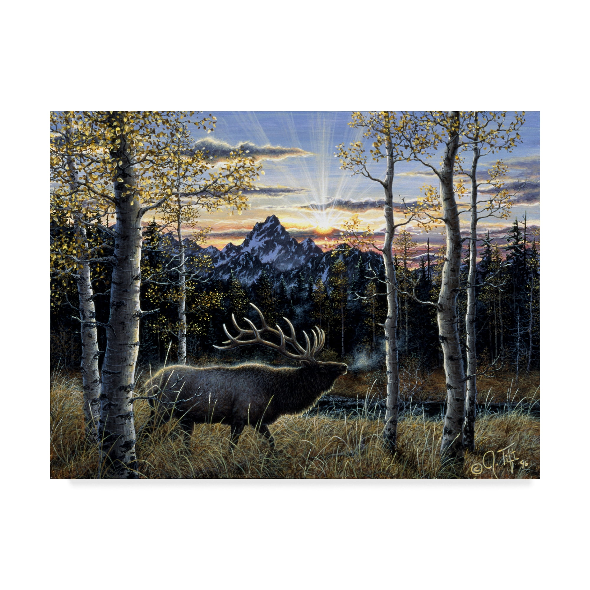 Trademark Fine Art 'Dawn Of Light' Canvas Art by Jeff Tift