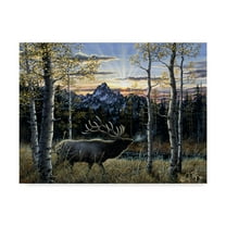 Trademark Fine Art 'Dawn Of Light' Canvas Art by Jeff Tift