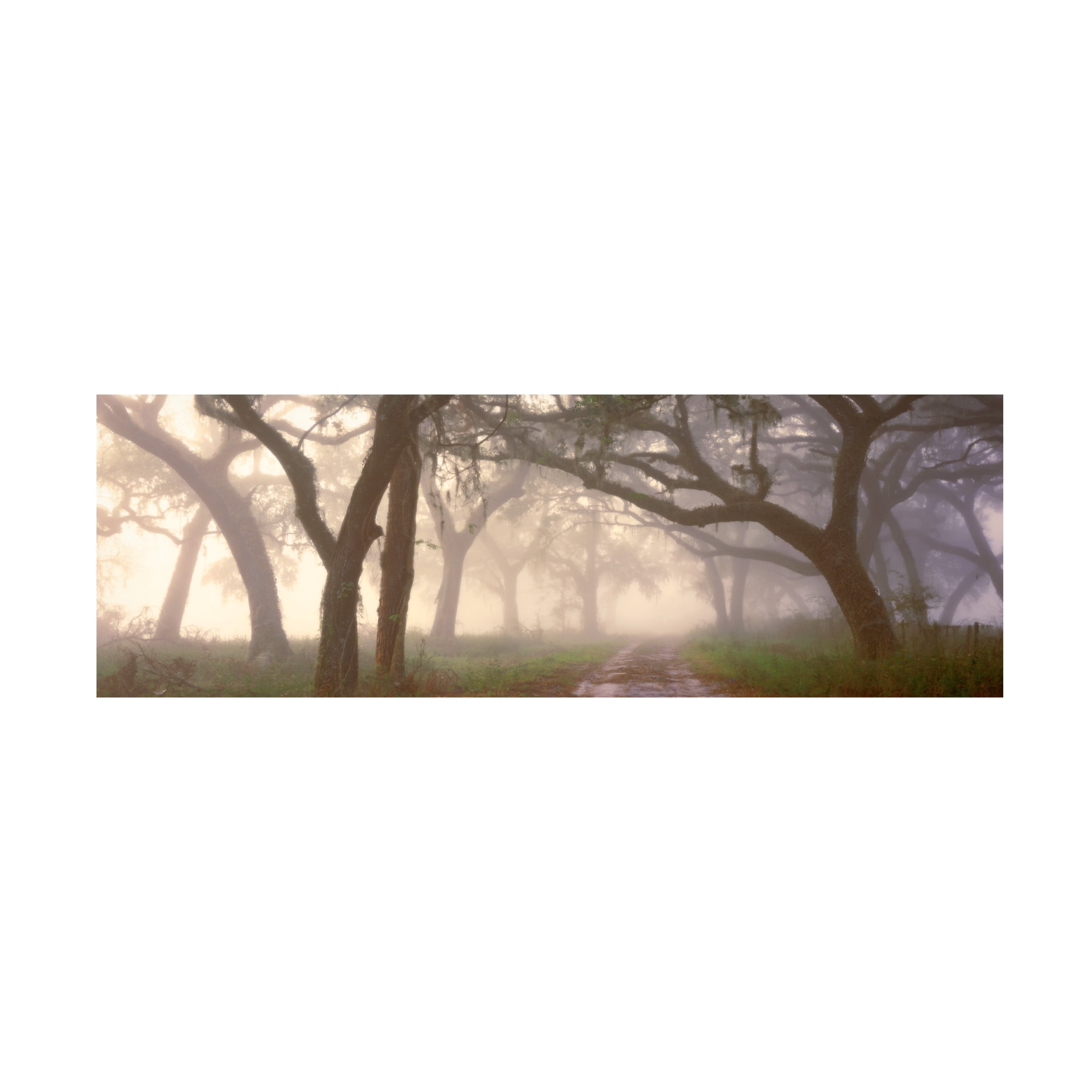 Trademark Fine Art 'Dawns Early Light' Canvas Art by Doug Cavanah