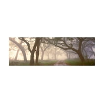 Trademark Fine Art 'Dawns Early Light' Canvas Art by Doug Cavanah