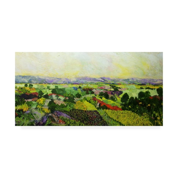 Trademark Fine Art 'Dawns Early Light Green' Canvas Art by Allan Friedlander