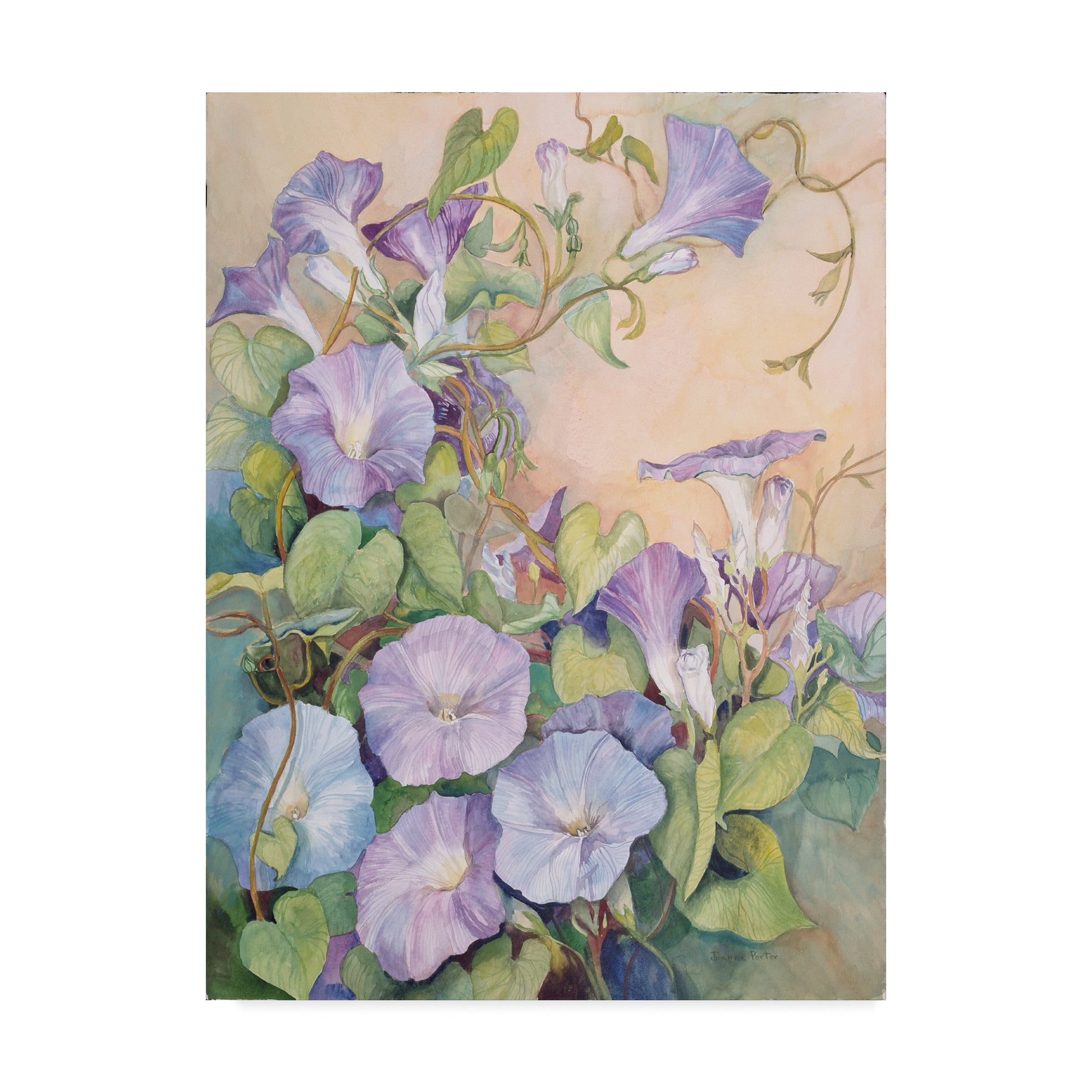 Trademark Fine Art 'Day Break' Canvas Art by Joanne Porter