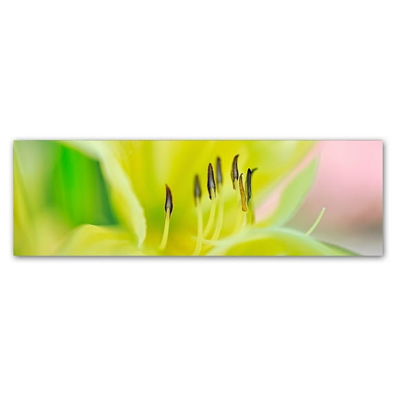 Trademark Fine Art 'Day Lily Scape' Canvas Art by Cora Niele
