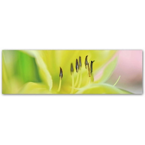 Trademark Fine Art 'Day Lily Scape' Canvas Art by Cora Niele