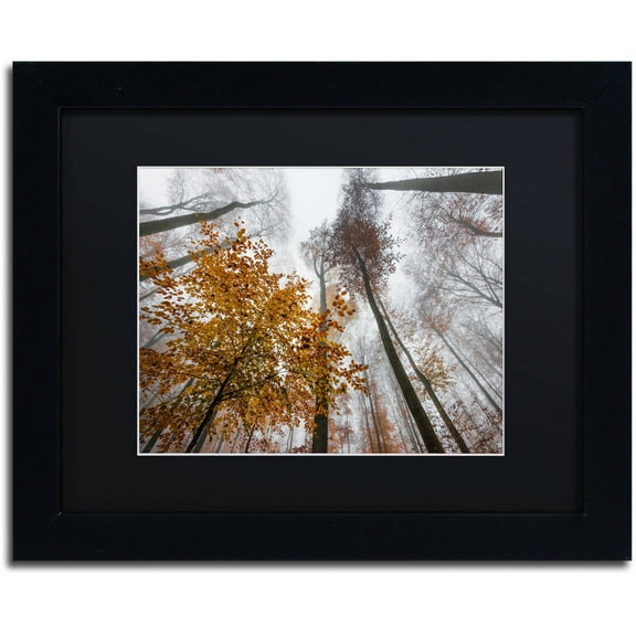 Trademark Fine Art "Daydreamer" Canvas Art by Philippe Sainte-Laudy Black Matte, Black Frame