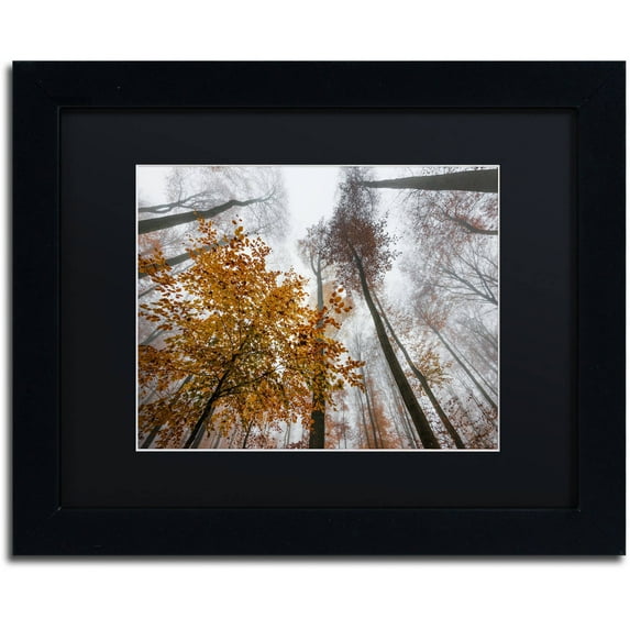 Trademark Fine Art "Daydreamer" Canvas Art by Philippe Sainte-Laudy Black Matte, Black Frame