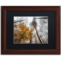 Trademark Fine Art "Daydreamer" Canvas Art by Philippe Sainte-Laudy Black Matte, Wood Frame