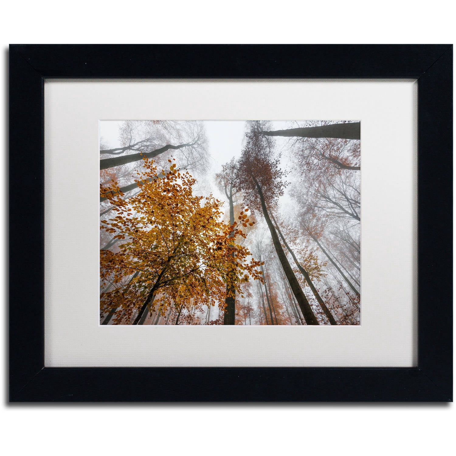 Trademark Fine Art "Daydreamer" Canvas Art by Philippe Sainte-Laudy White Matte, Black Frame