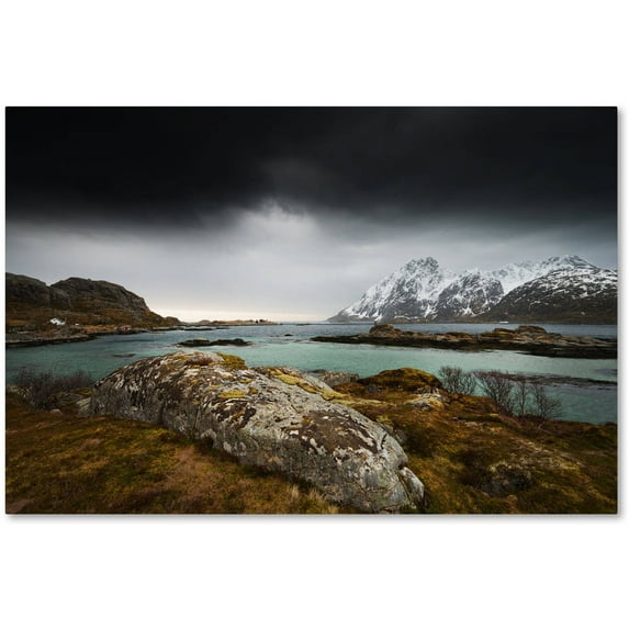 Trademark Fine Art "Daylight" Canvas Art by Philippe Sainte-Laudy