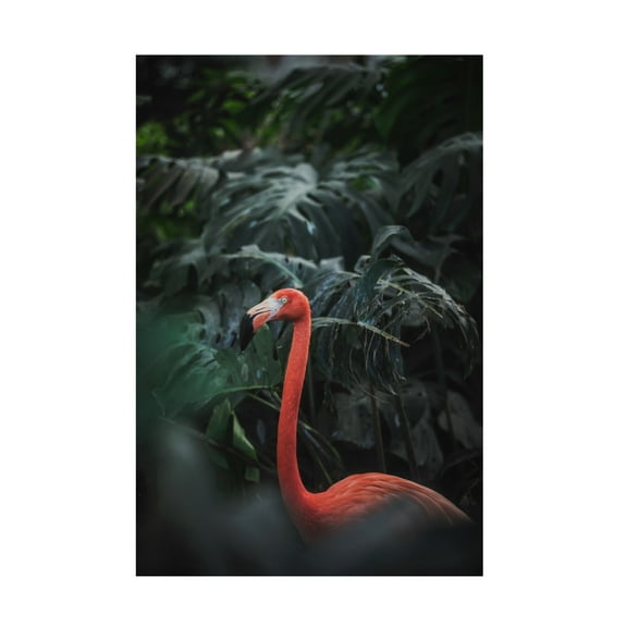 Trademark Fine Art Dayvee Flamingo Canvas Wall Art