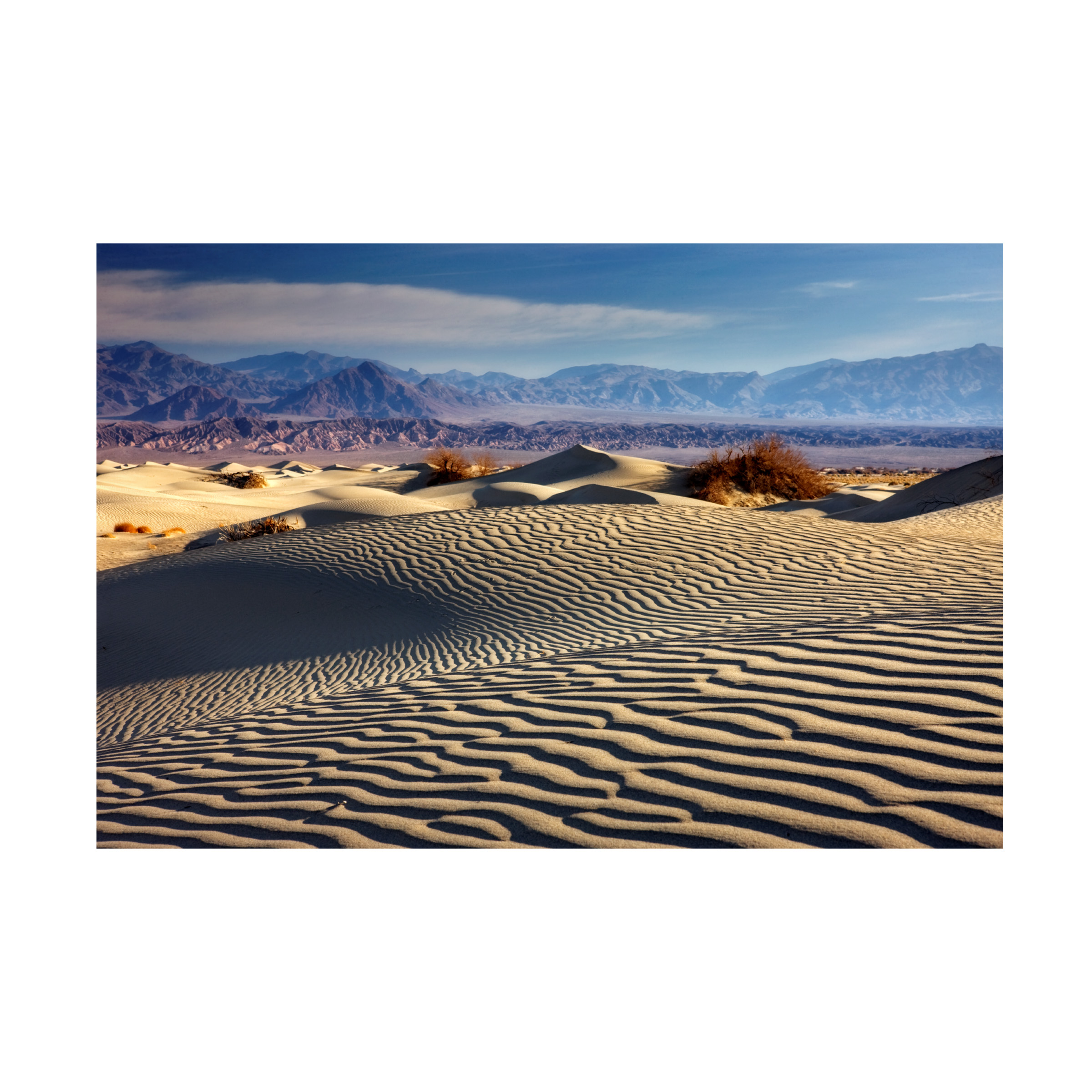 Trademark Fine Art 'Death Valley Mesquite Dunes' Canvas Art by Mike Jones Photo
