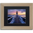 thumbnail image 1 of Trademark Fine Art "December Hues" Canvas Art by Michael Blanchette Photography Black Matte, Birch Frame, 1 of 4