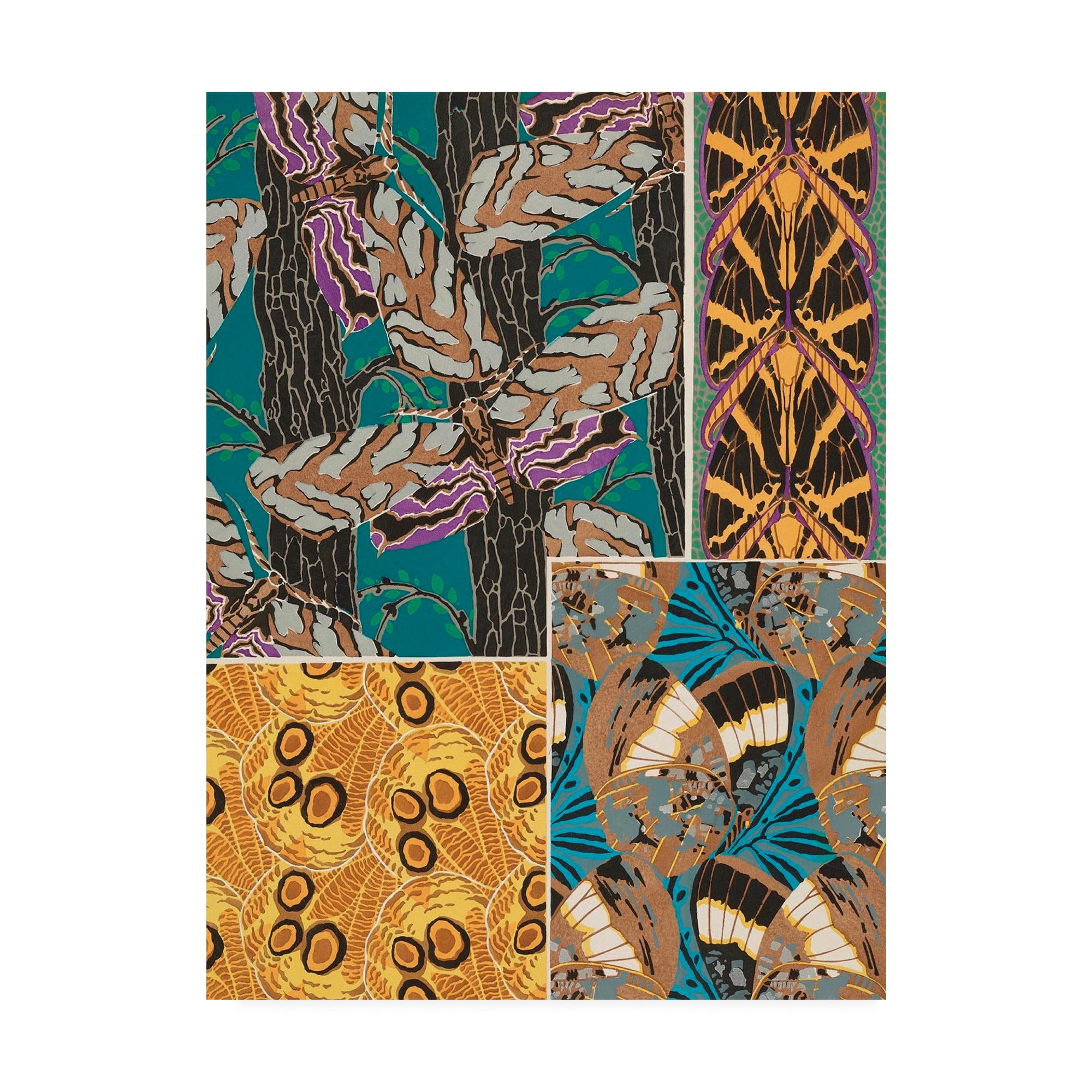 Trademark Fine Art 'Decorative Butterflies I' Canvas Art by Eugene Seguy