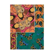 Trademark Fine Art 'Decorative Butterflies III' Canvas Art by Eugene Seguy