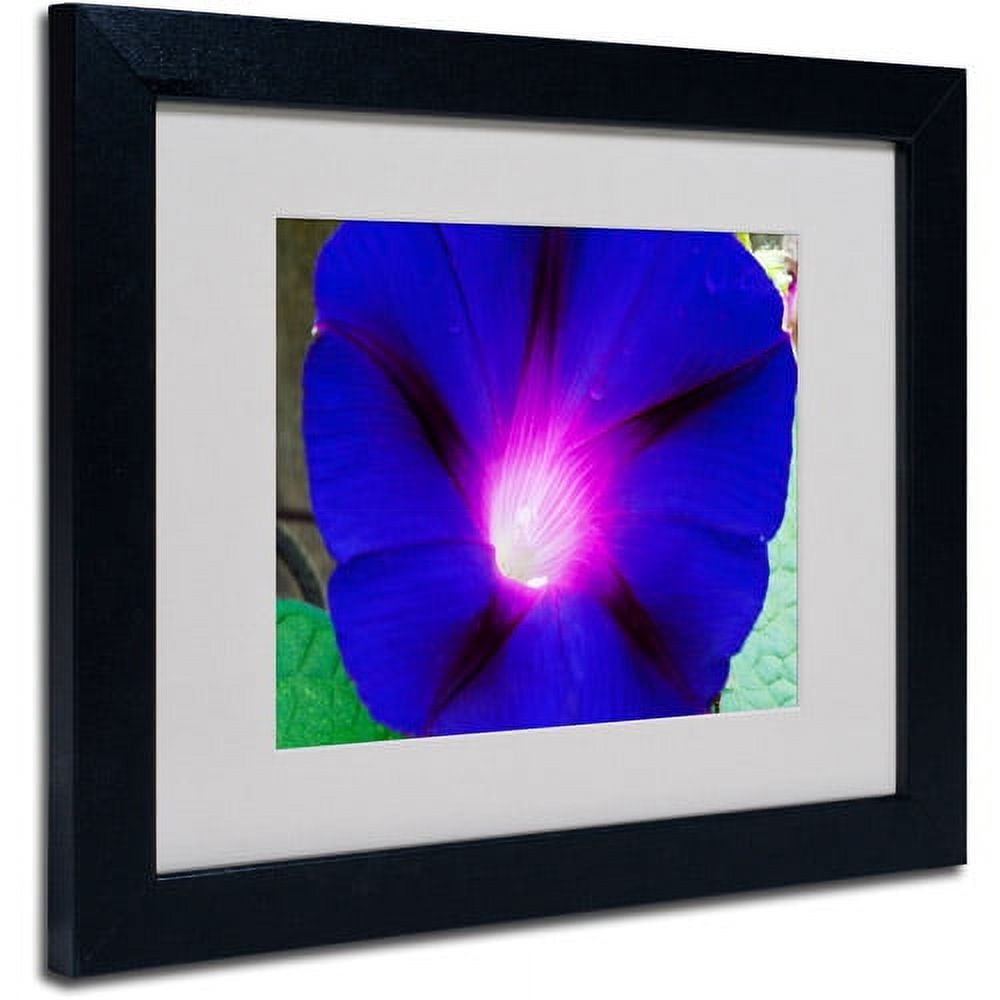 Trademark Fine Art "Deep Blue Morning Glory" Canvas Art by Kurt Shaffer, Black Frame