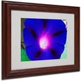 thumbnail image 1 of Trademark Fine Art "Deep Blue Morning Glory" Canvas Art by Kurt Shaffer, Wood Frame, 1 of 3