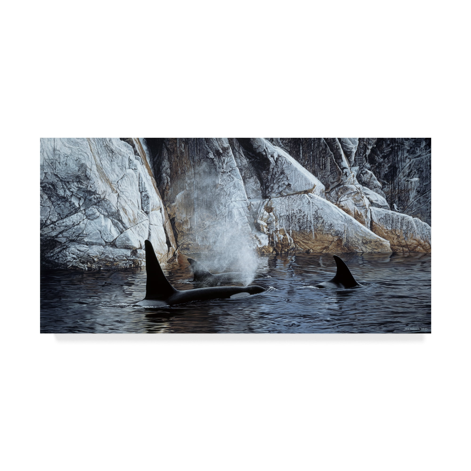 Trademark Fine Art 'Deep Water Orcas' Canvas Art by Ron Parker