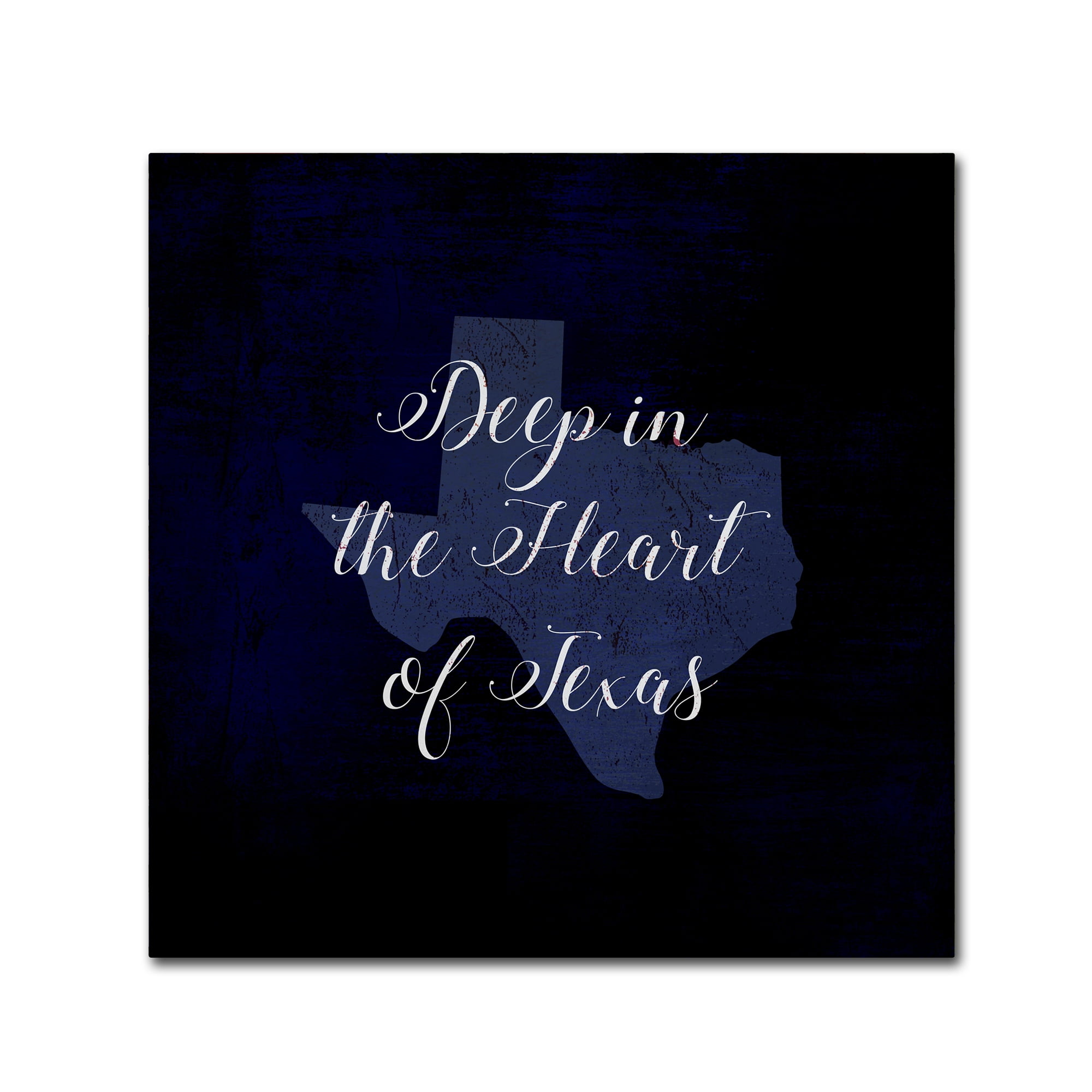 Trademark Fine Art 'Deep in Texas' Canvas Art by Art Licensing Studio