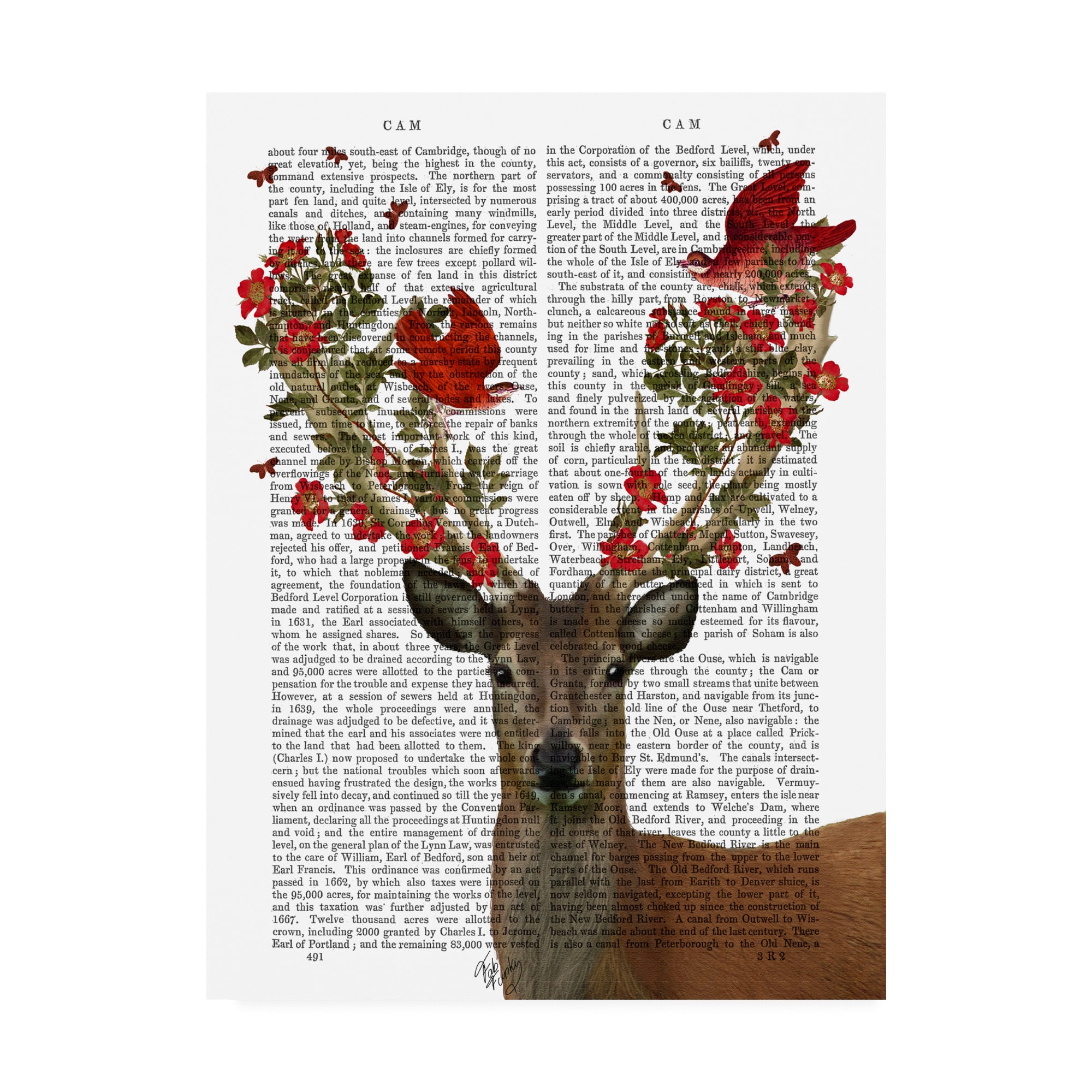 Trademark Fine Art 'Deer And Love Birds' Canvas Art by Fab Funky