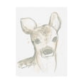 thumbnail image 1 of Trademark Fine Art 'Deer Cameo I' Canvas Art by June Erica Vess, 1 of 3