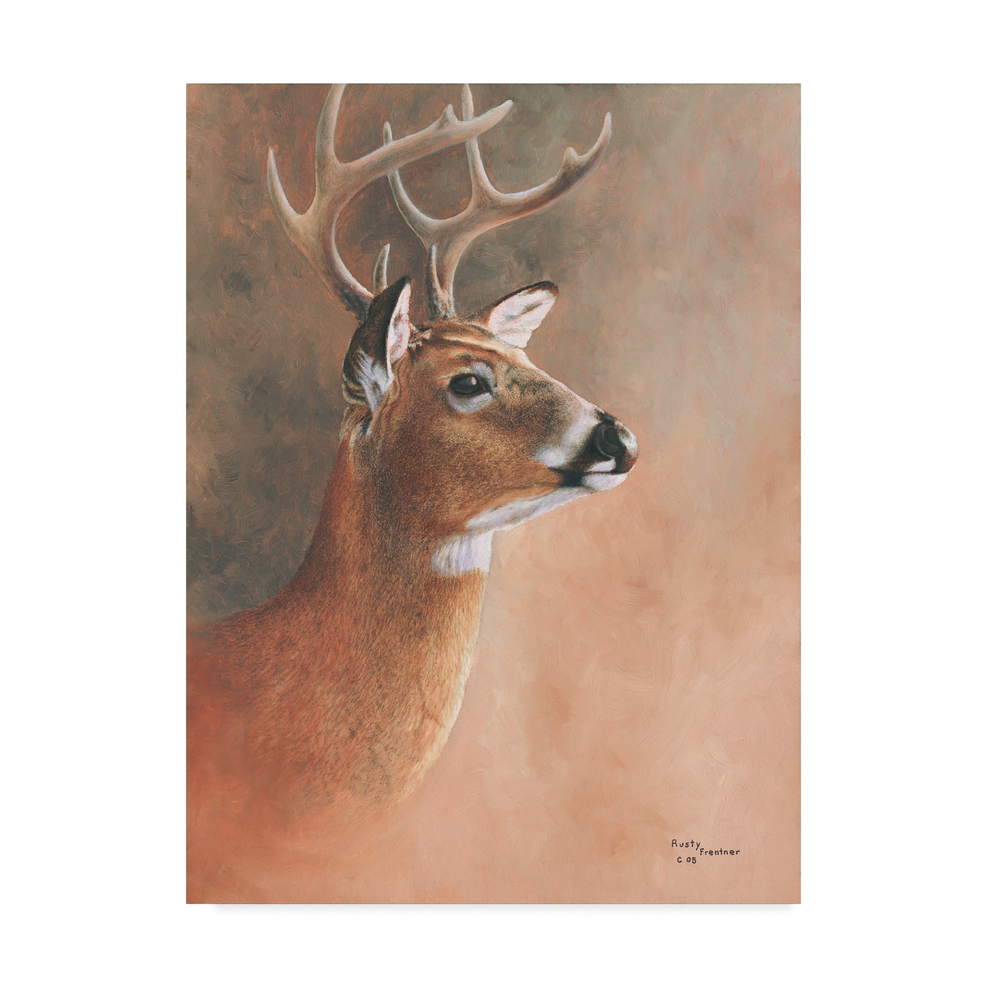 Trademark Fine Art 'Deer Close Up' Canvas Art by Rusty Frentner