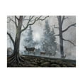 thumbnail image 1 of Trademark Fine Art 'Deer Path I' Canvas Art by B. Lynnsy, 1 of 3