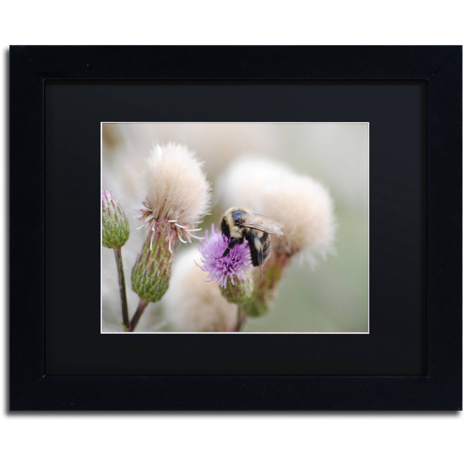 Trademark Fine Art "Defeated" Canvas Art by Monica Mize, Black Matte, Black Frame