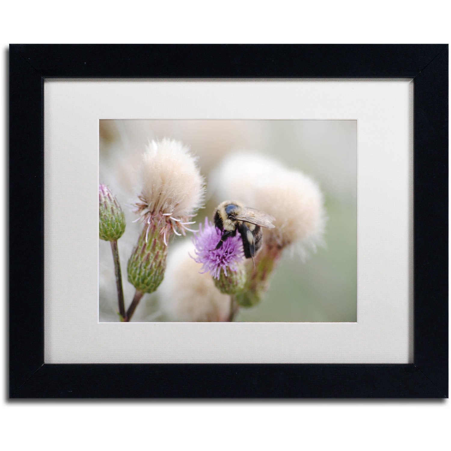 Trademark Fine Art "Defeated" Canvas Art by Monica Mize, White Matte, Black Frame