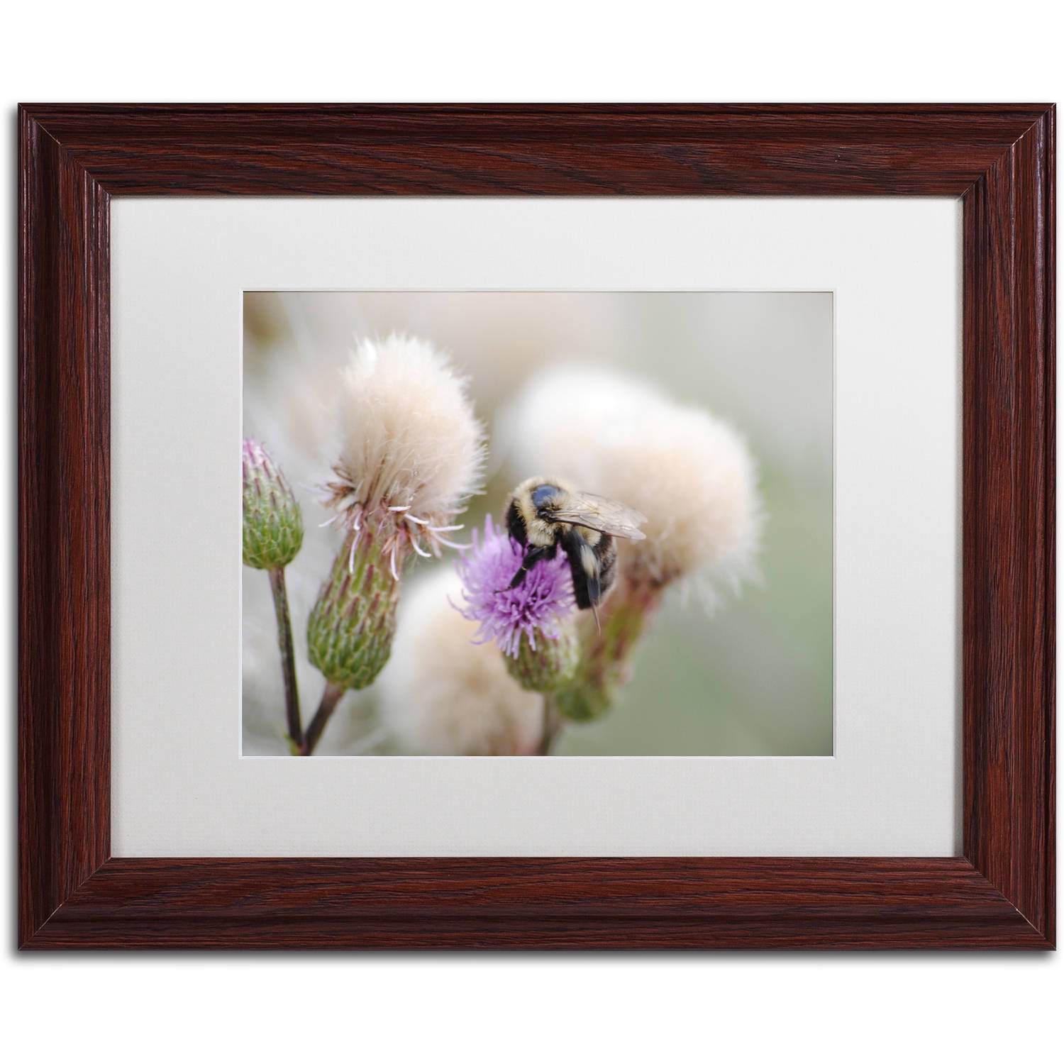 Trademark Fine Art "Defeated" Canvas Art by Monica Mize, White Matte, Wood Frame
