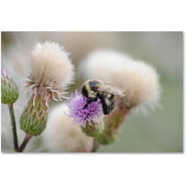 Trademark Fine Art "Defeated" Canvas Art by Monica Mize