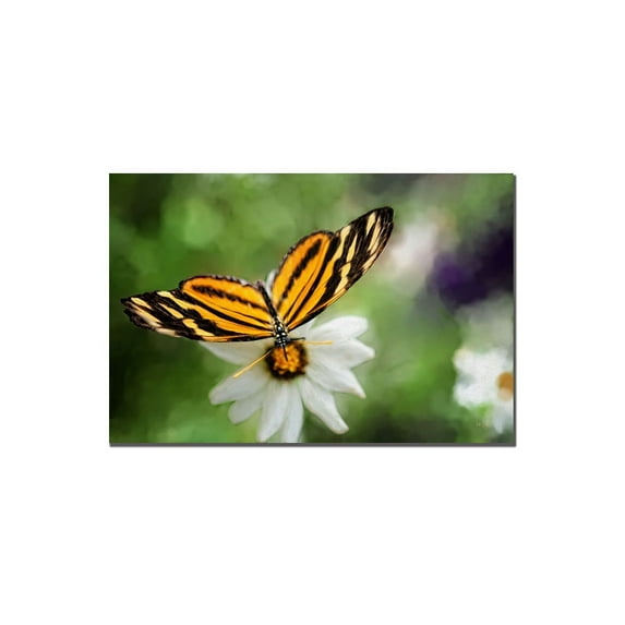 Trademark Fine Art "Delicate Balance" Canvas Art by Lois Bryan