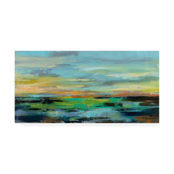 Trademark Fine Art 'Delmar Sunset I' Canvas Art by Silvia Vassileva