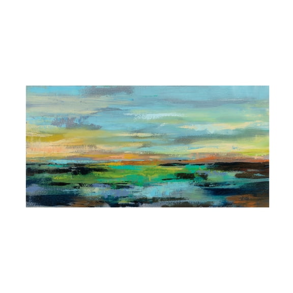 Trademark Fine Art 'Delmar Sunset I' Canvas Art by Silvia Vassileva