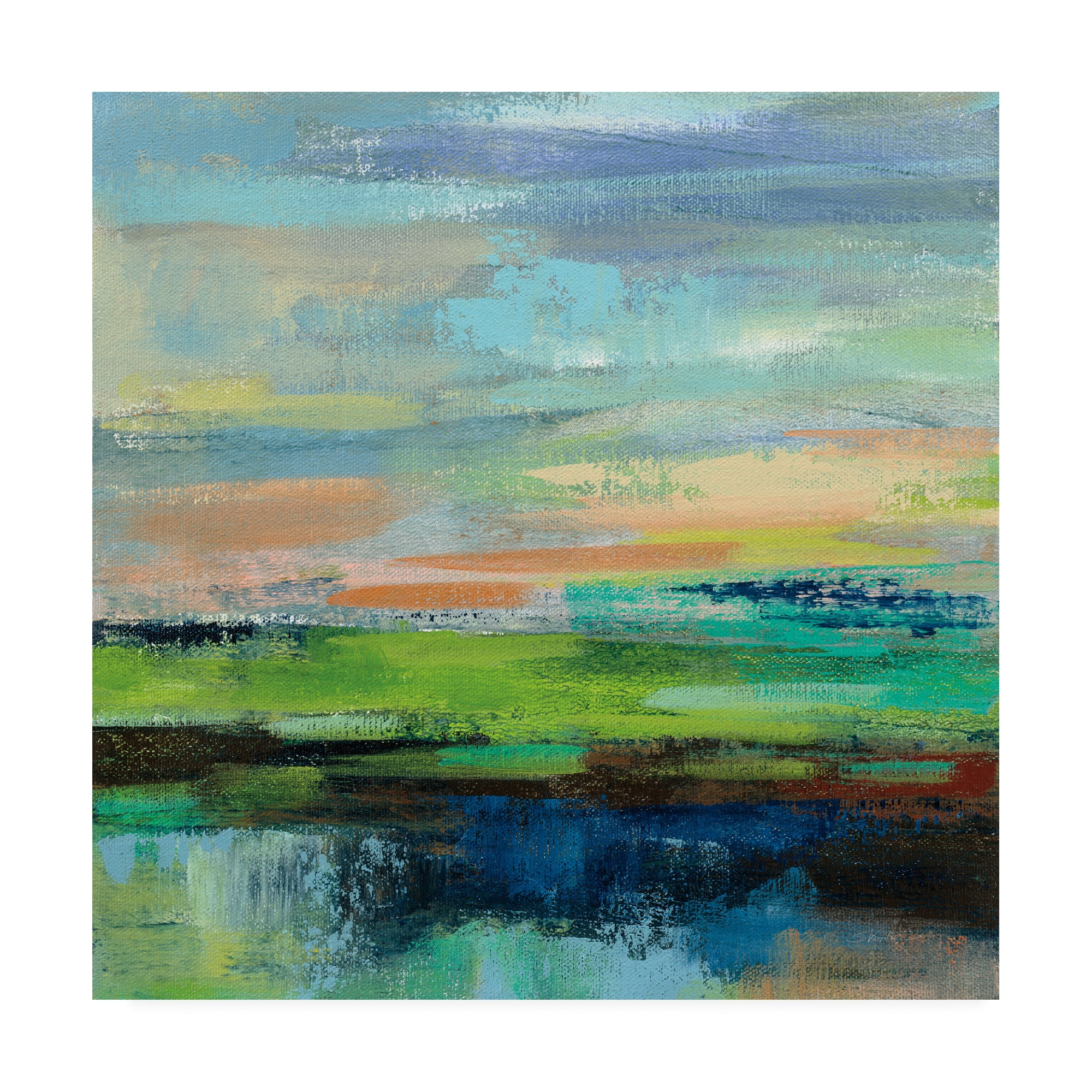 Trademark Fine Art 'Delmar Sunset II' Canvas Art by Silvia Vassileva